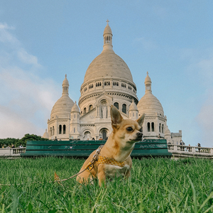 Romantic Montmartre