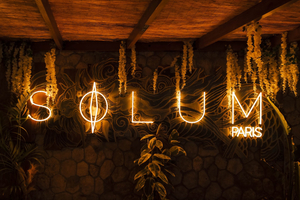 Solum