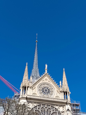 The Steps of Notre Dame