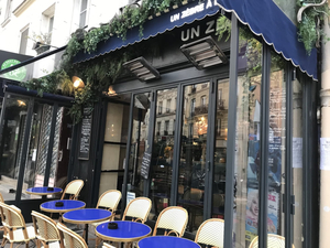Un Zèbre à Montmartre