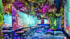 Under the Sea