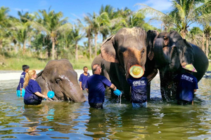 Bangkok: rezerwat słoni i zoo Khao Kheow (Moodeng)