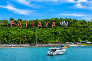 Fra Bangkok: Dagstur til Koh Larn-øya og Art in Paradise