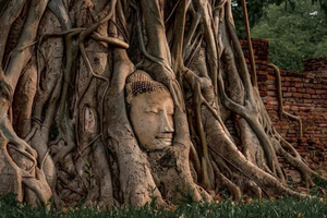 Von Bangkok aus: Private geführte Ayutthaya Tagestour