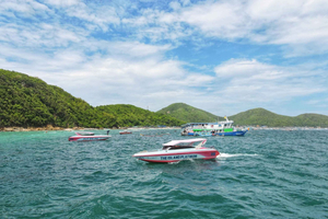 Pattaya : excursion d'une demi-journée à Coral Island avec déjeuner indien
