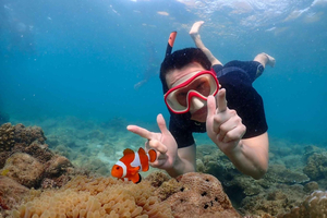 Samaesarn : Finding Nemo Snorkeling Tour Private speedboat