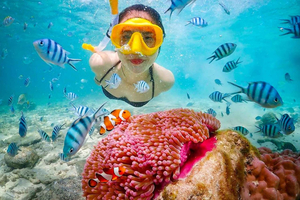 Snorkling og avslapping: Nemo Island-tur fra Pattaya