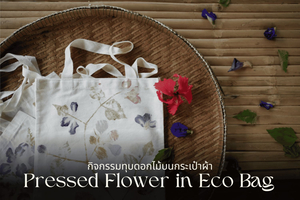 Thai Thani Cultural Village – bagdesignworkshop