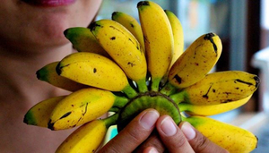 Going Bananas in Pattaya