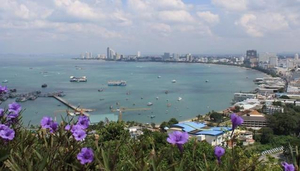 Five Star Villas & Condos