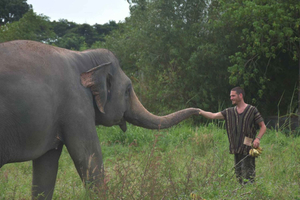 From Bangkok: Pattaya Ethical Elephant Sanctuary Day Trip