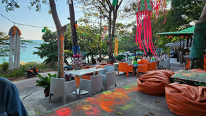 Gecko Bar