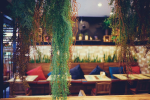 Jasmin's Café