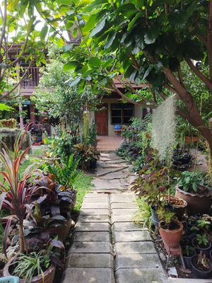 Lamour Guesthouse