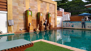Sarita Chalet & Spa