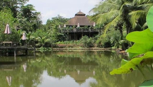 The Spa Koh Chang and Resort
