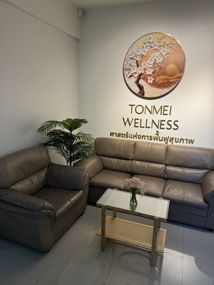 ต้นเหมยเวลเนส Tonmeiwellness นวดรักษา