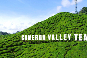 Cameron Highlands 3D2N Trip