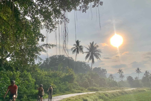 Countryside Cycling Tour in Balik Pulau (3 Hours)