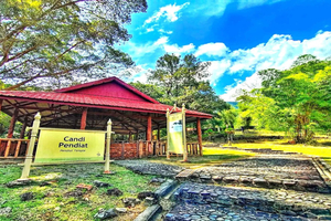 From Penang - Bujang Valley Guided Tour with Lunch