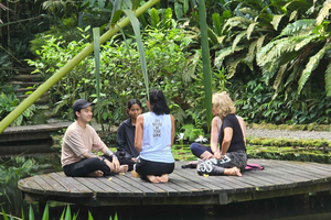Guided Forest Bathing Walk with Tea Ceremony