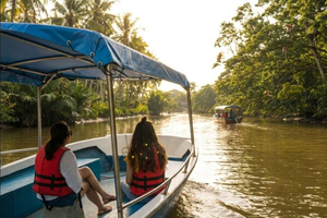 Kota Kinabalu Proboscis Monkey, Firefly & Eco Farm Day Tour
