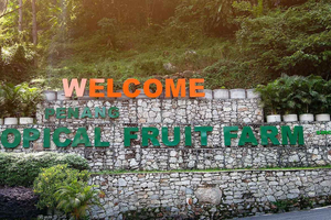 Penang: Tropical Fruit Farm Ticket