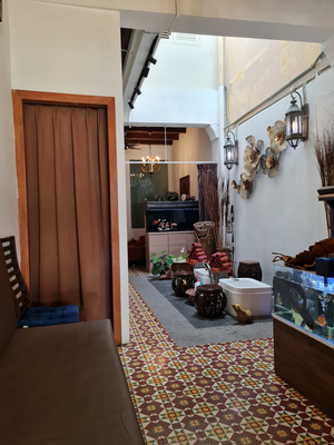 Eco Wellness Sanctuary
