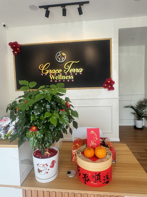 Grace Terra Wellness