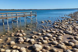 Clifton Thrombolites, Busselton Jetty & Canal Rocks -matkapäivä