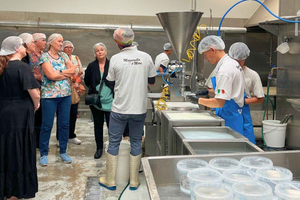 Perth : Food Tour: Bread, Dairy & Local Makers with Lunch
