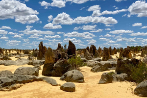 Perth: Pinnacles Desert Bush Walk Guided Tour with Lunch