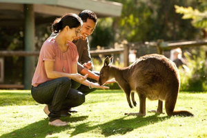 Perth Wildlife Park & City Highlights - Tours em pequenos grupos