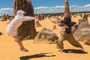 Excursão particular de um dia em Pinnacles, Lancelin e King Neptune