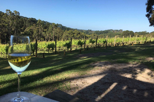Descubrimiento del Vino del Valle del Swan: Tour privado desde Perth