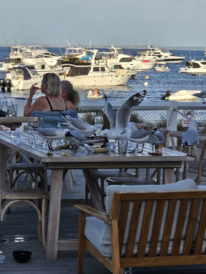 Bayside Bar