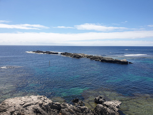 Cathedral Rocks Viewing Platform