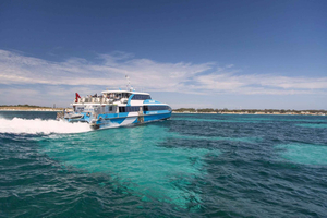 Z Perth lub Fremantle: Prom na wyspę Rottnest i wycieczka autobusowa