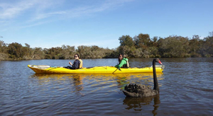 Rivergods Kayak Tours
