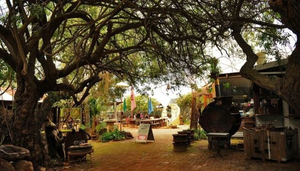 Taylor's Art and Coffee House