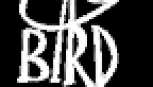 The Bird
