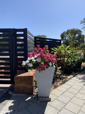 West Swan B&B