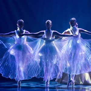 Ballet of Lights - Gift Card