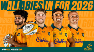 Wallabies kontra Włochy