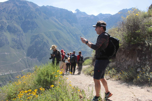 Arequipa: 2-dages trekkingtur i Colca Canyon