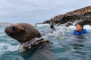 Callao: Private Yacht to Palomino Islands with Pirate Guide and Sea Lions