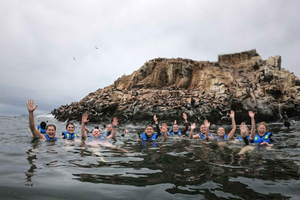 Callao: Schwimmen mit Seelöwen Palomino Islands Bootstour