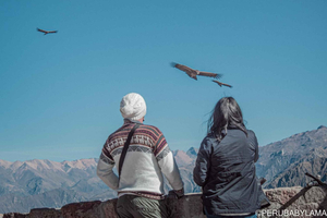 colca cañón: 2 Day Tours from Arequipa with transfer to Puno