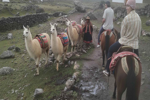 Cusco Ausangate 7 Lakes Tour with Llamas and Meals