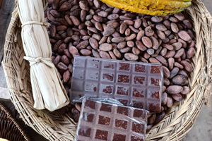 Cusco: Peruvian Cacao Tasting Experience Fine Aroma (2Hours)